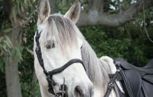 Taste The Experience2