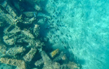 Veritas Multiservices LLC4