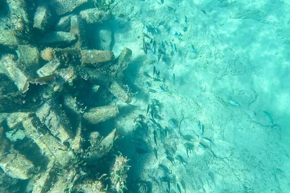 Fort Lauderdale Guided Ocean Snorkeling Experience