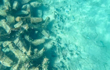 Veritas Multiservices LLC1