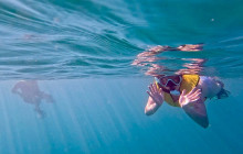 Veritas Multiservices LLC6