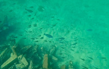 Veritas Multiservices LLC7