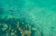 Veritas Multiservices LLC9