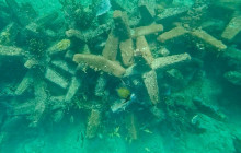 Veritas Multiservices LLC11