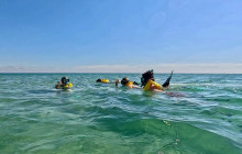 Veritas Multiservices LLC14