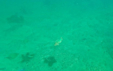 Veritas Multiservices LLC15