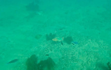 Veritas Multiservices LLC17