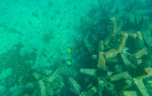 Veritas Multiservices LLC18