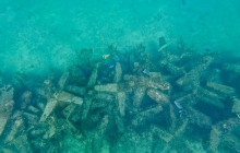 Veritas Multiservices LLC19