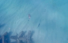 Veritas Multiservices LLC20