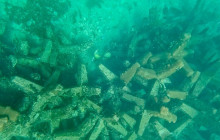 Veritas Multiservices LLC21