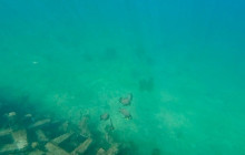 Veritas Multiservices LLC22