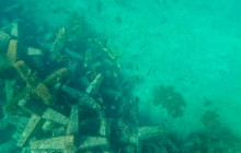 Veritas Multiservices LLC24