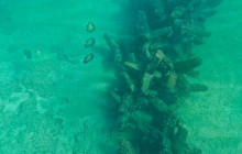 Veritas Multiservices LLC26