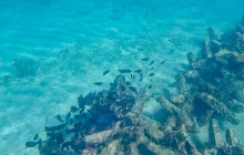 Veritas Multiservices LLC27