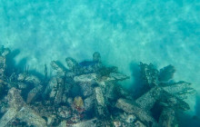 Veritas Multiservices LLC28