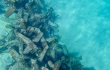 Veritas Multiservices LLC29