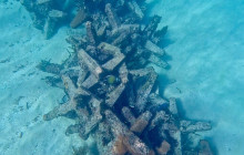 Veritas Multiservices LLC30