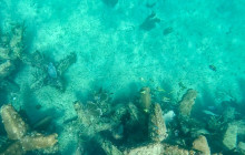 Veritas Multiservices LLC31