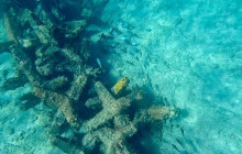 Veritas Multiservices LLC32