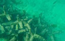 Veritas Multiservices LLC33