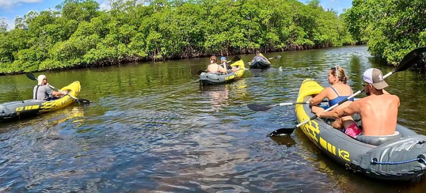 Fort Lauderdale Kayak And Paddleboard Mangroves Eco Adventure