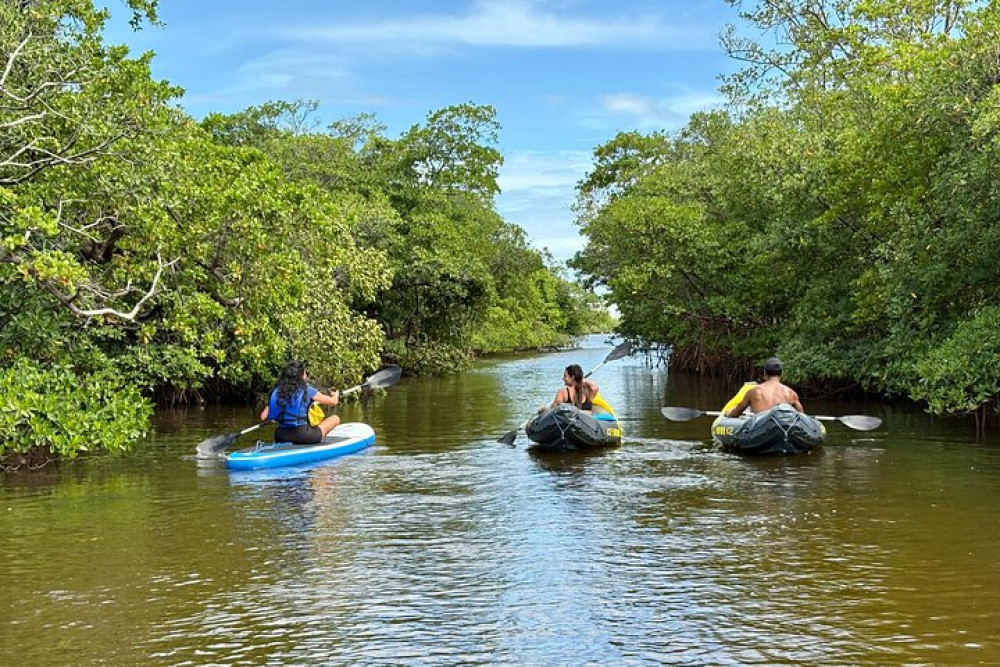 Fort Lauderdale Kayak And Paddleboard Mangroves Eco Adventure