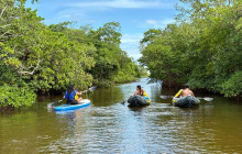 Veritas Multiservices LLC1