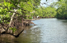 Veritas Multiservices LLC8