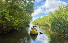 Veritas Multiservices LLC17