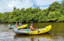 Veritas Multiservices LLC24