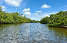 Veritas Multiservices LLC29