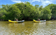 Veritas Multiservices LLC30