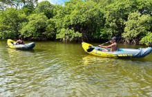 Veritas Multiservices LLC36