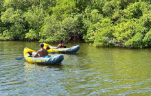 Veritas Multiservices LLC38