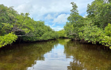 Veritas Multiservices LLC39