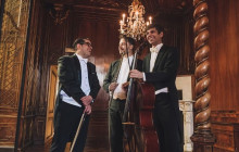 Wiener Residenz Orchester Veranstaltug GmbH7