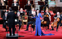Wiener Residenz Orchester Veranstaltug GmbH13