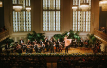 Wiener Residenz Orchester Veranstaltug GmbH18