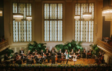 Wiener Residenz Orchester Veranstaltug GmbH20