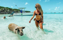Swimming with Pigs in Exuma by Speed Boat