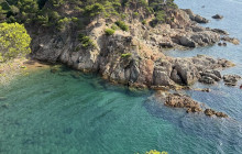 Catalands4