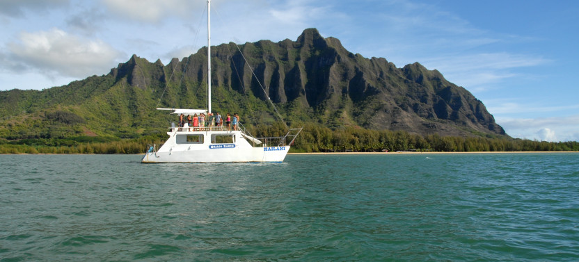 Ocean Voyage Catamaran Tour (90 minutes)