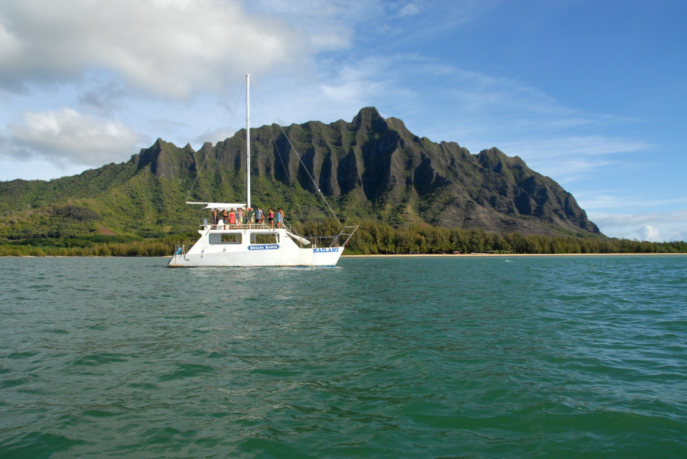 Ocean Voyage Catamaran Tour (90 minutes)