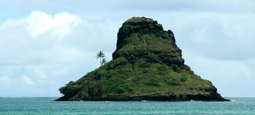 Ocean Voyage Catamaran Tour (90 minutes)
