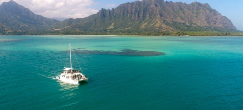 Ocean Voyage Catamaran Tour (90 minutes)