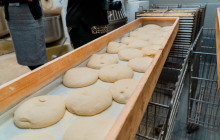 Martulli Viaggi - DMC5