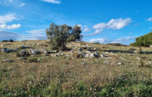 Martulli Viaggi - DMC6