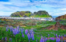 SOUTHCOAST ADVENTURE4