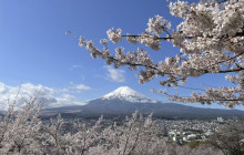 Beauty of Japan4
